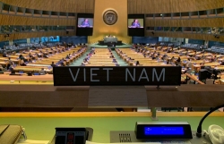 Liên hợp quốc họp toàn thể lần đầu tiên sau 6 tháng; bầu 7 thẩm phán Tòa án quốc tế về Luật biển