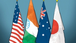 Bộ tứ nhóm họp quan chức cấp cao, ủng hộ vai trò trung tâm của ASEAN ở Ấn Độ Dương-Thái Bình Dương