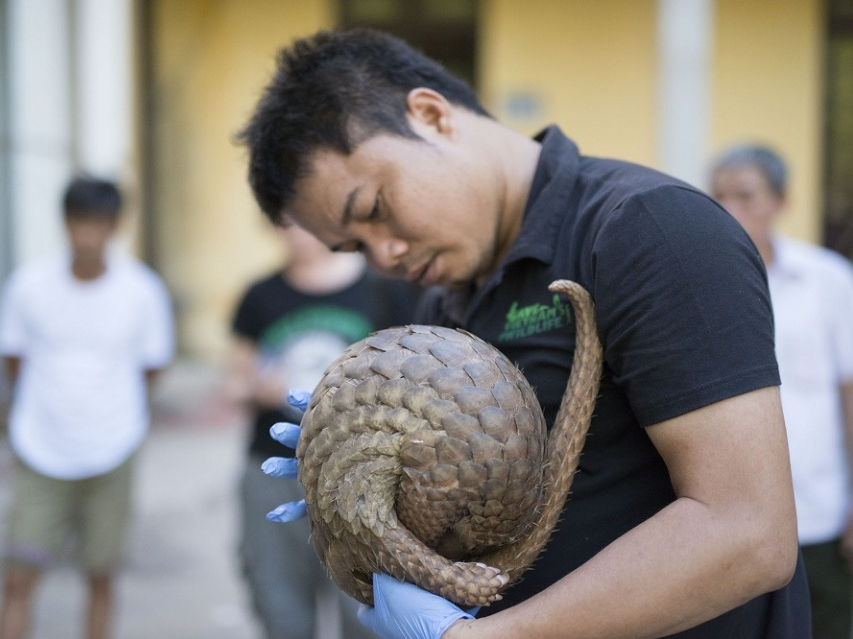 Nỗi niềm cùng tê tê