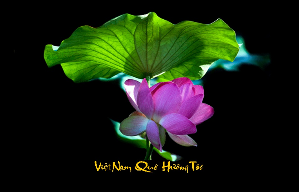 Phát động cuộc thi viết về "Việt Nam trong trái tim tôi" tại Moscow