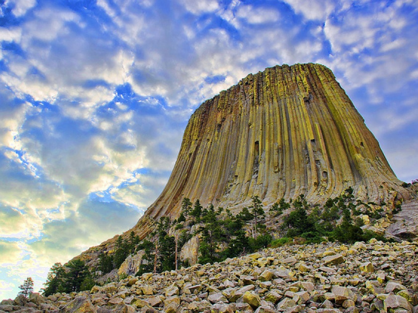 Học thuyết mới về rừng