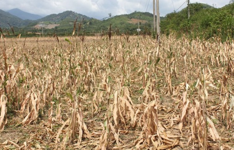 ADB hạ dự báo tăng trưởng của Việt Nam