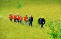 chinh thuc khai thac tuyen cap quang bien apg