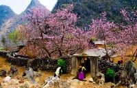 nang am vung bien cuong