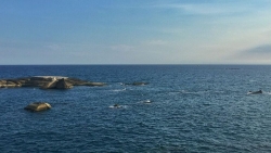 Chuyên gia Czech: Động thái của châu Âu thể hiện sự điều chỉnh lập trường quan trọng về Biển Đông