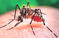 phu nu mang thai nen an gi de tranh nguy co tien san giat