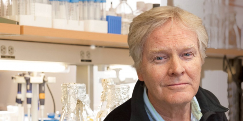 Nobel Y học 2017: Khám phá cơ chế kiểm soát nhịp sinh học nobel y hoc 2017 kham pha co che kiem soat nhip sinh hoc