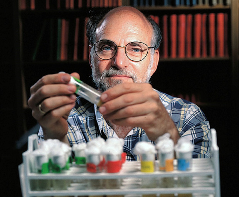 Nobel Y học 2017: Khám phá cơ chế kiểm soát nhịp sinh học nobel y hoc 2017 kham pha co che kiem soat nhip sinh hoc