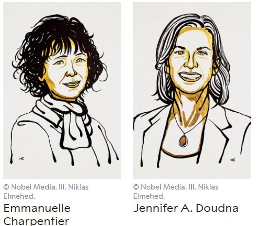 giai nobel hoa hoc 2020 tim duoc chu hai nha khoa hoc nu phat trien phuong phap chinh sua gene