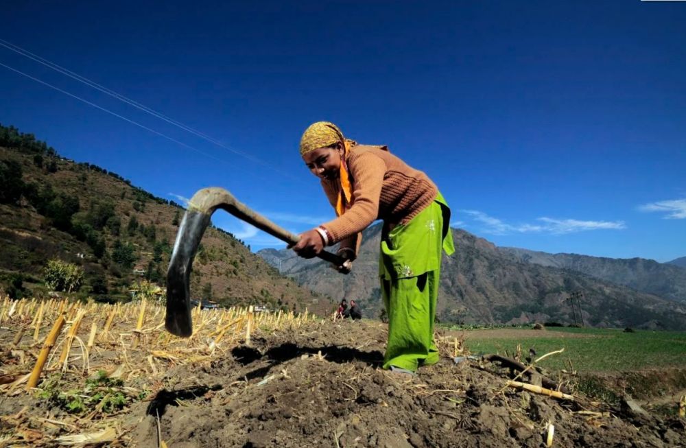 Hỗ trợ nông hộ nhỏ - Giải pháp bền vững chấm dứt nạn đói Hỗ trợ nông hộ nhỏ - Giải pháp bền vững chấm dứt nạn đói