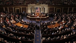 Bầu cử Mỹ 2020: Đua nhau mở rộng 'chiến trường', hai đảng bùng nổ cuộc chiến giành ghế ở Hạ viện