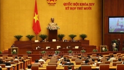 Thúc đẩy quyền lợi của người lao động Việt Nam đi làm việc tại nước ngoài