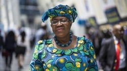 EU-Mỹ ở hai 'chiến tuyến', tiến trình tìm kiếm lãnh đạo mới cho WTO lại trắc trở