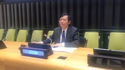 Việt Nam chủ trì phiên họp của Ủy ban của Hội đồng Bảo an về Nam Sudan