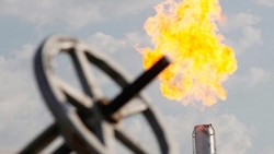 Khủng hoảng năng lượng: Chuyên gia Nhật Bản nói lời 'rửa oan' cho Nga