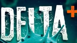 Covid-19: Biến thế phụ của Delta - AY.4.2 xâm nhập Đông Nam Á; lý giải hiện tượng thanh niên trẻ khỏe trở bệnh nặng