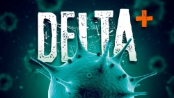 Chuyên gia Nga nói về biến thể phụ của Delta: AY.4.2 có nguy hiểm hơn?