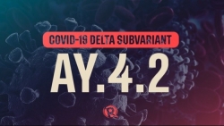 Covid-19: Quốc gia Đông Nam Á tiếp theo là mục tiêu của AY.4.2; WHO giám sát chặt biến thể phụ của Delta