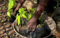 trung quoc co the giam 30 khi phat thai neu cai thien cac thanh pho