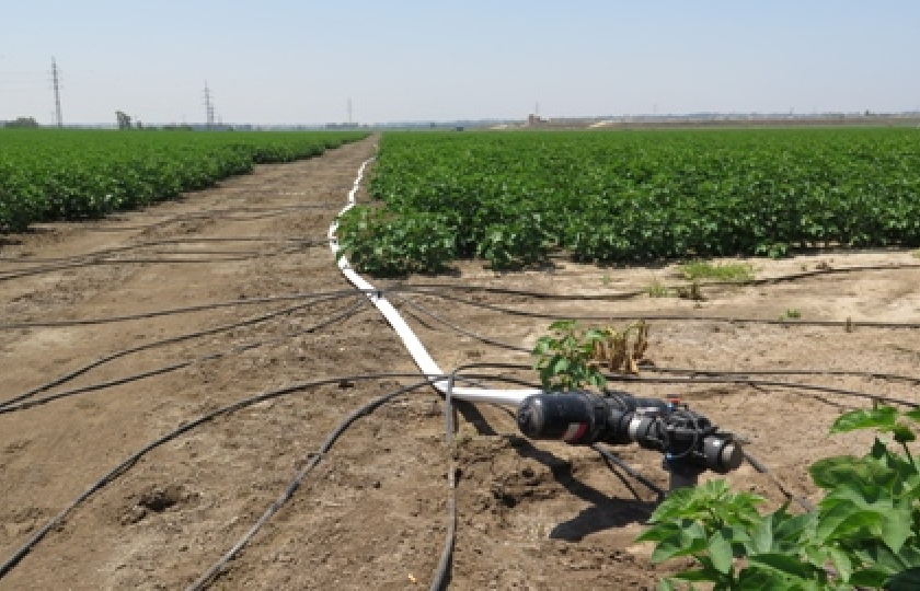 Học viên Việt Nam tham gia khóa học thạc sỹ nông nghiệp tại Israel