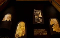 sang to gia thiet ve can phong bi mat trong mo pharaoh tutankhamun