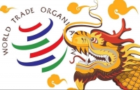 hong kong va xung khac my trung quoc chua kip on da them gang