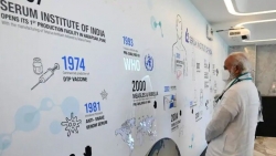 Hãng sản xuất của Ấn Độ chuẩn bị xin cấp phép sử dụng khẩn cấp vaccine Covid-19