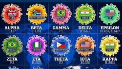 Covid-19: WHO công bố nguồn lây chính; phát hiện biến thể mới có số lượng đột biến cực cao