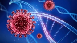 Covid-19: Biến thể mới xâm nhập Israel; các nước khẩn cấp ứng phó biến thể nguy hiểm, siết chặt nhập cảnh