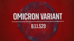 Biến thể Omicron: Anh kêu gọi G7 họp khẩn, Indonesia mạnh tay, Nhật Bản đóng cửa