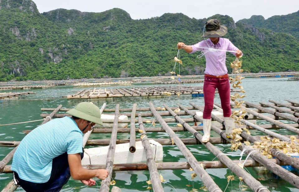 ​"Mạnh về biển, giàu lên từ biển"