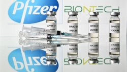 Vaccine Covid-19: Anh chính thức cấp phép vaccine Pfizer-BioNTech, EU ấn định khung thời gian khởi động tiêm chủng