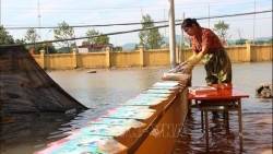 Quỹ dân số Liên hợp quốc viện trợ thêm 800.000 USD hỗ trợ phụ nữ và trẻ em gái 8 tỉnh miền Trung