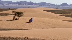 Mỹ công nhận chủ quyền của Morocco với Tây Sahara, LHQ tuyên bố không thay đổi quan điểm