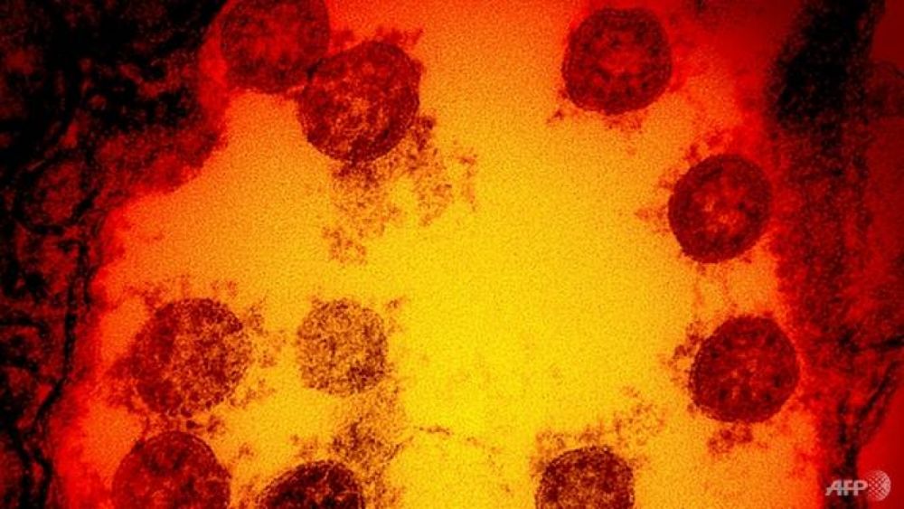 NGUY HIỂM! Anh tiếp tục phát hiện biến thể mới thứ hai của SARS-CoV-2 vô cùng đáng quan ngại