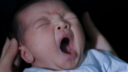 UNICEF: Hơn 3.000 trẻ em sẽ được sinh ra tại Việt Nam vào ngày đầu năm mới