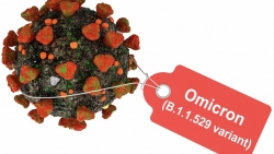 Biến thể Omicron: Mỹ phát hiện ca đầu tiên, biến thể 'tấn công' 23 quốc gia; chưa thấy triệu chứng đặc biệt; triển vọng vaccine?