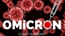 Siêu biến thể Omicron: Lây lan ở Anh nhanh hơn Nam Phi, Bộ trưởng Y tế Canada nói về 'sự cảnh tỉnh tàn nhẫn'