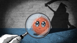 Biến thể Omicron: Phủ bóng đen ở Thượng đỉnh EU; G7 coi là đe dọa lớn nhất với toàn cầu