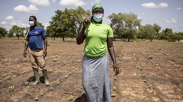 Tỷ lệ đói nghèo cao nhất trong 15 năm, Mỹ Latinh và Caribbean đối mặt thêm tình trạng mất an ninh lương thực nghiêm trọng. (Nguồn: Fao) Tỷ lệ đói nghèo cao nhất trong 15 năm, Mỹ Latinh và Caribbean đối mặt thêm tình trạng mất an ninh lương thực nghiêm trọng. (Nguồn: Fao)