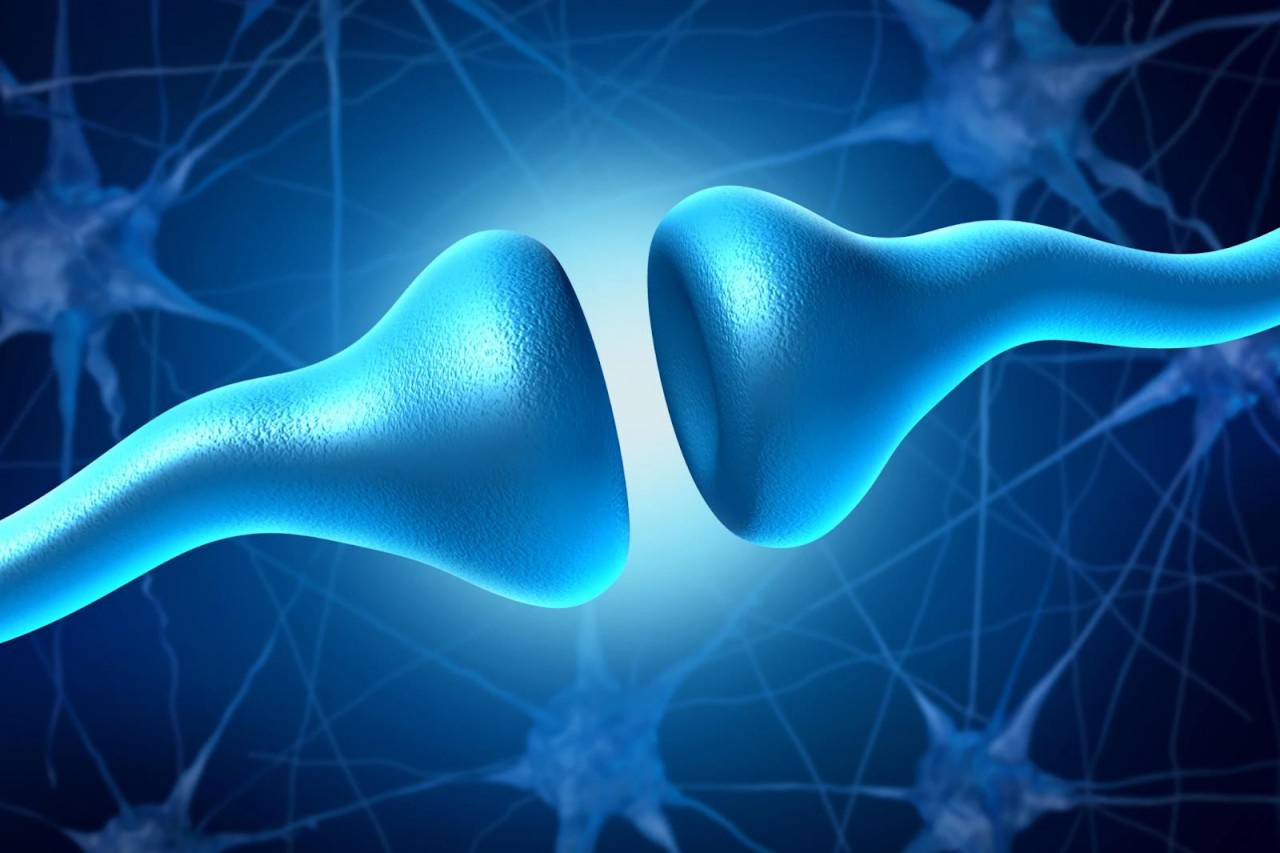 Thờ ơ được cho là dấu hiệu đầu tiên của chứng sa sút trí tuệ. (Nguồn: New Atlas)