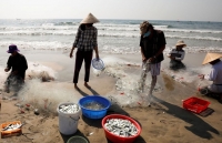 chay rung lam phuc tap cong tac dap dich covid 19 tai indonesia