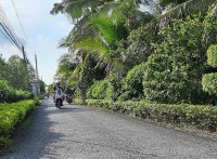 Sức sống mới ở vùng biên giới Giang Thành