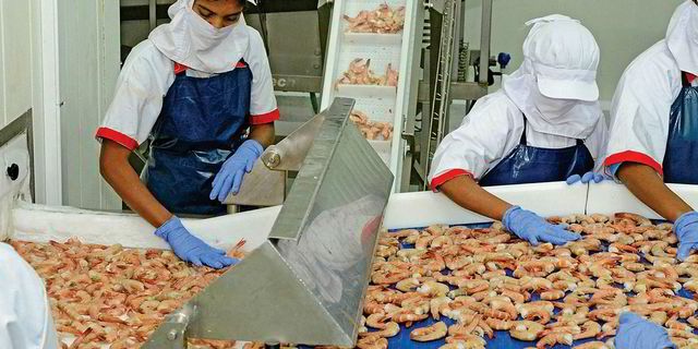 Ấn Độ và Trung Quốc gia tăng bất đồng về tôm xuất khẩu. (Nguồn: IntraFirsh) Ấn Độ và Trung Quốc gia tăng bất đồng về tôm xuất khẩu. (Nguồn: IntraFirsh)