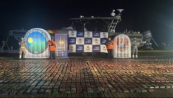 Colombia: Thu giữ lượng ma túy lớn nhất từ đầu năm