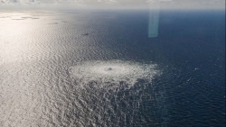 Sự cố Dòng chảy phương Bắc: Nga chỉ trích ba nước châu Âu, khẳng định không công nhận kết quả điều tra