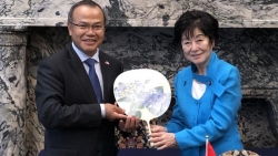 Ngoại giao văn hóa của Nhật Bản và bài học đối với Việt Nam