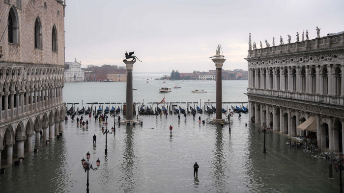 venice vat lon chong chim