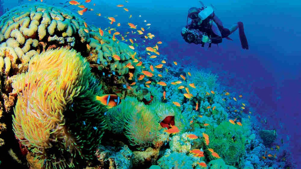 Hợp tác khoa học biển vì sự phát triển của khu vực