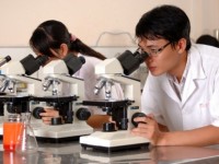 113 tac gia duoc trao giai thuong ho chi minh nha nuoc